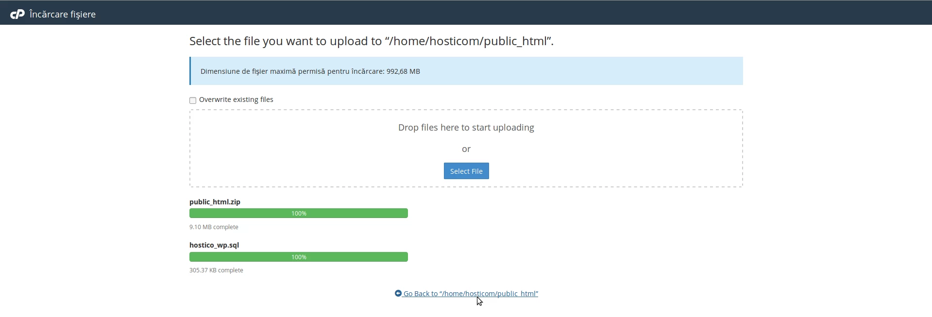 Sectiunea incarcare fisiere